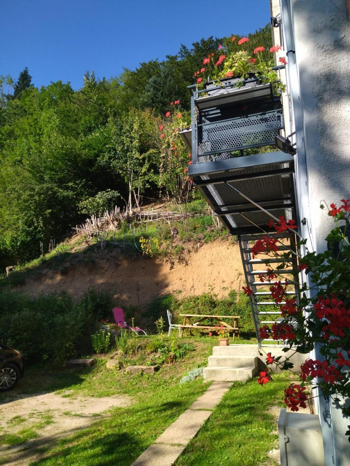 Appartamento Le Logis Aux Digitales La Croix-aux-Mines Esterno foto